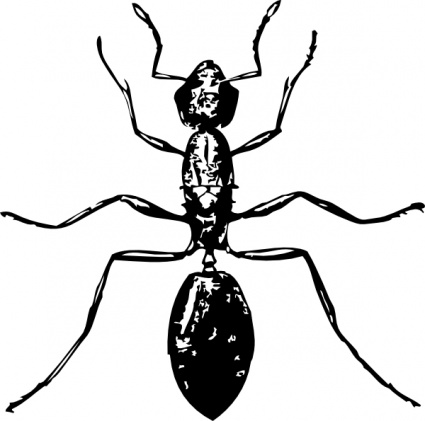 Clipart insects black and white