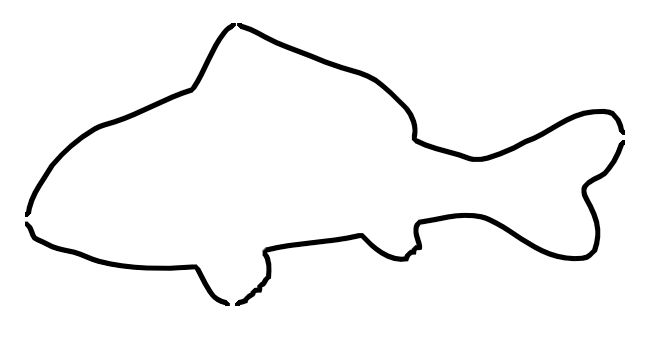Best Photos of Fish Shape Outline - Fish Outline Drawing, Fish ...