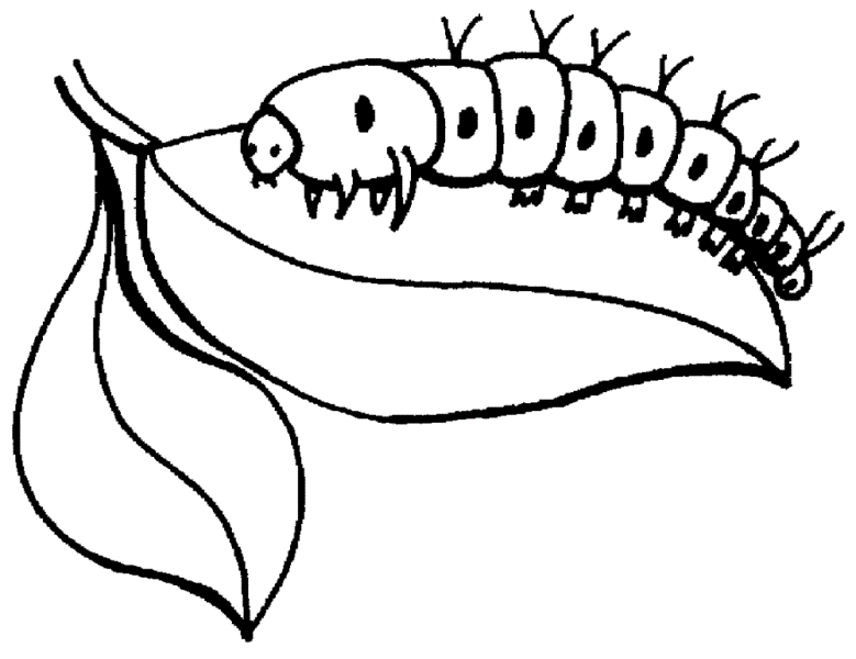 Larva New Year Coloring Pages - gobel coloring page