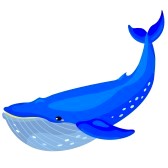 Humpback Whale Clipart - Free Clipart Images