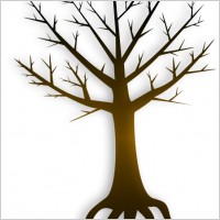 Pictures of trees with no leaves Free vector for free download ...
