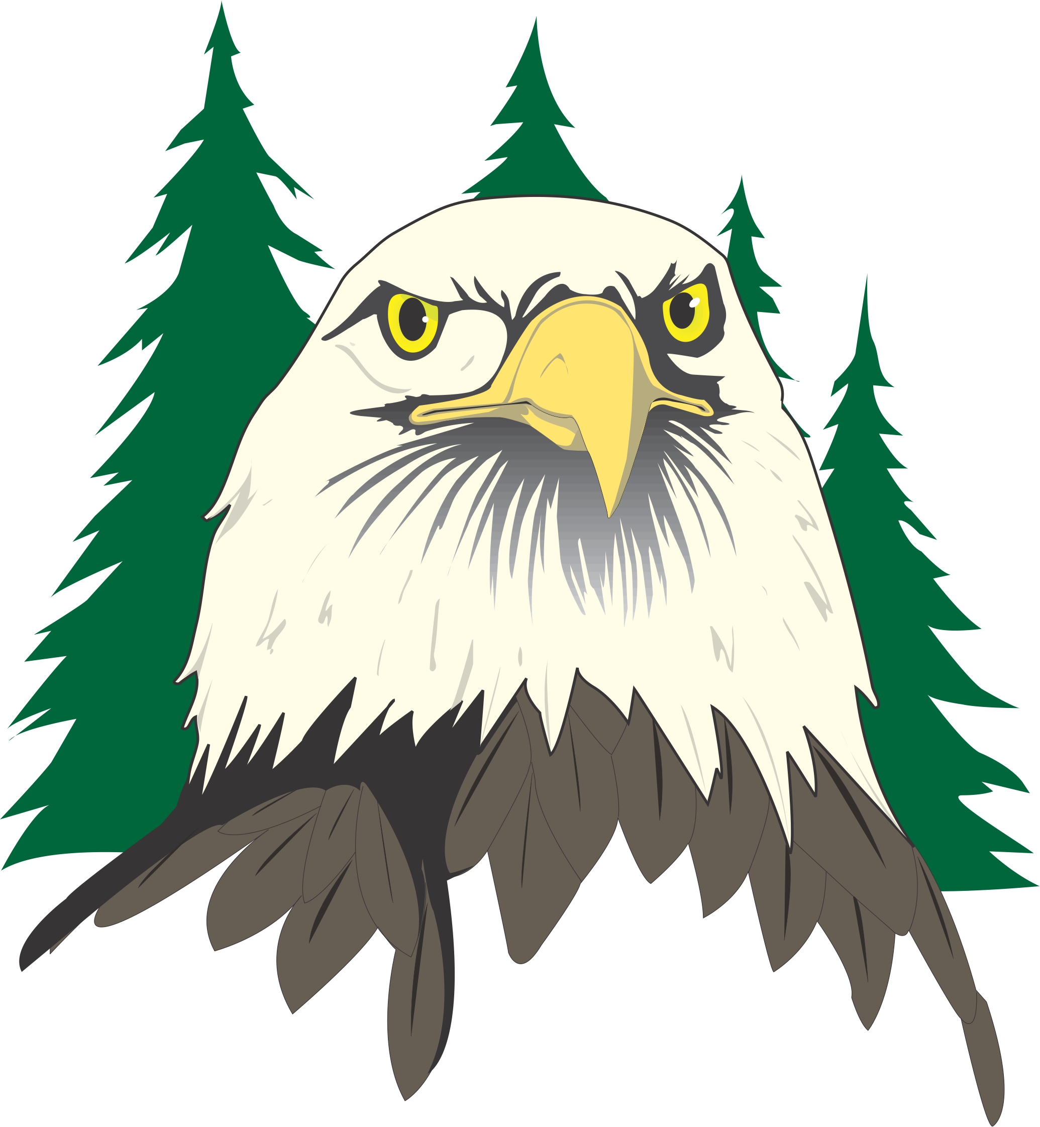 Cartoon Eagle Head Clip Art Vector Online Royalty Free on ...