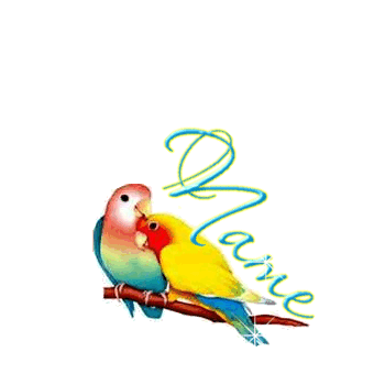 Animated Bird Email Signatures - ClipArt Best - ClipArt Best