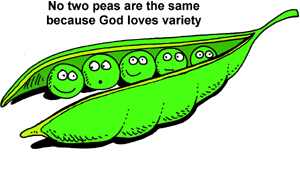 Peas in Pod clip art - Christart.