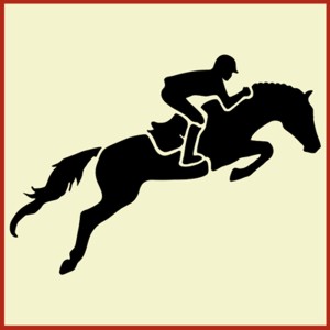 Hunter Jumper Horse with Rider