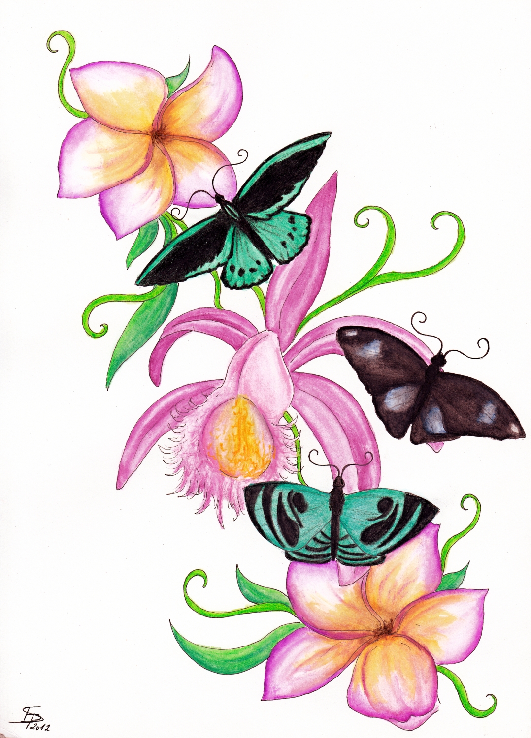 Drawings Of Butterflies And Flowers - ClipArt Best