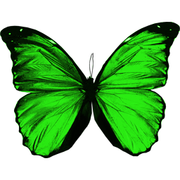 Butterfly PNG image, free picture download