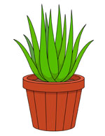 Free Plants Clipart - Clip Art Pictures - Graphics - Illustrations
