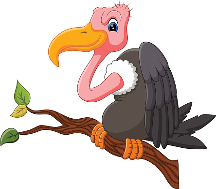 Clip Art Of A Vulture Bird Clip Art, Vector Images & Illustrations ...