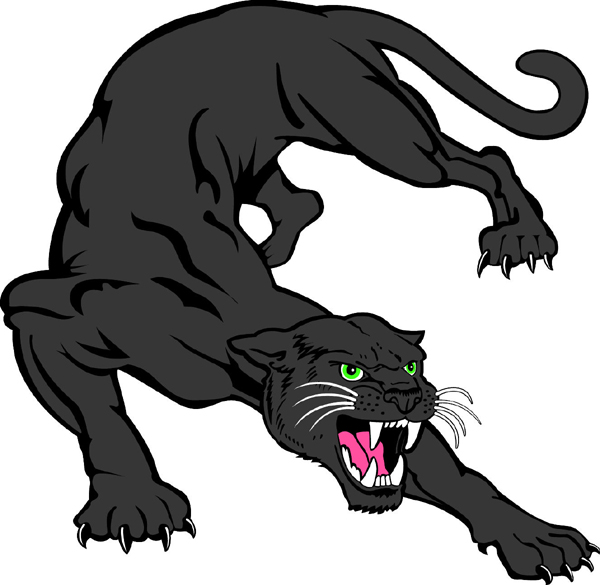 Panthers And School Things Clipart