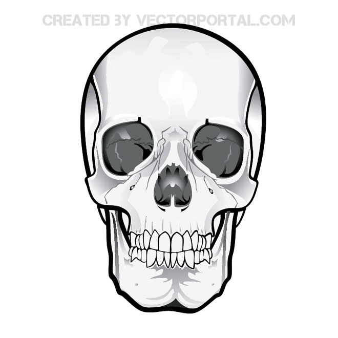 Skull Vector Clipart