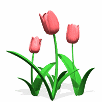 Animated Spring Gif - ClipArt Best