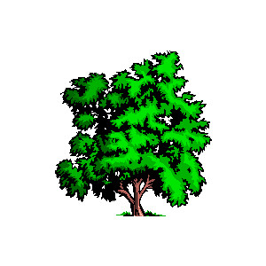 free Trees Clipart - Trees clipart - Trees graphics - Page 3 ...