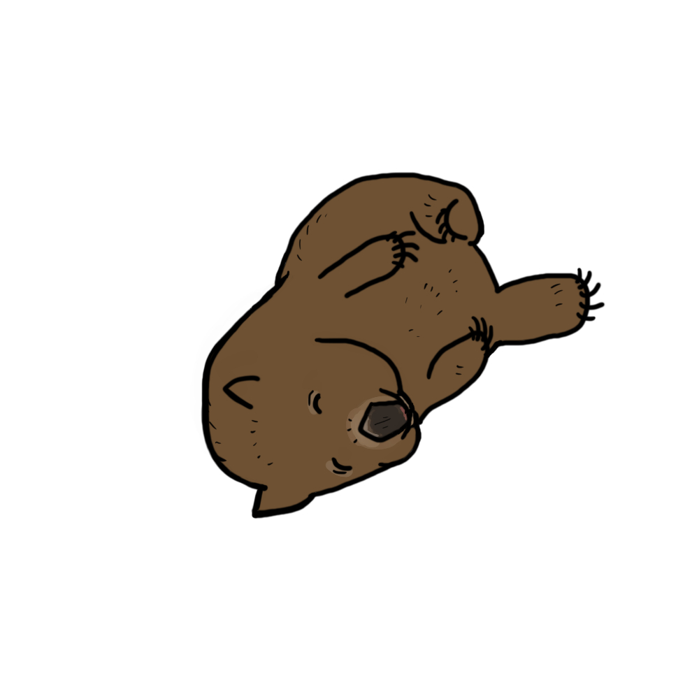 505 views Cartoon wombat clipart - ClipartFox