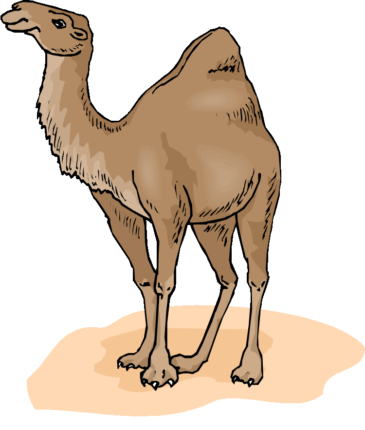 Clipart of camel