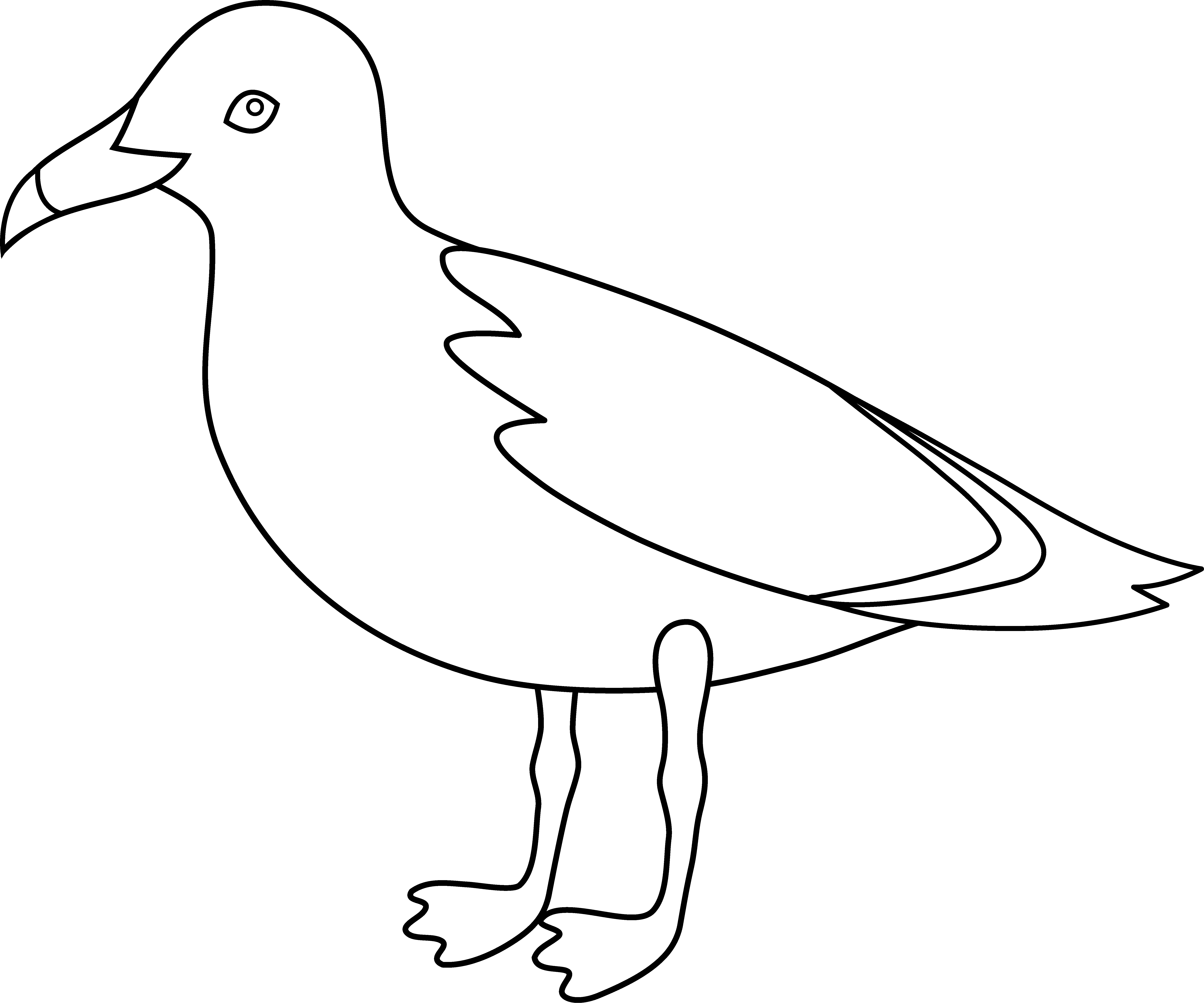 Seagull Outline | Free Download Clip Art | Free Clip Art | on ...