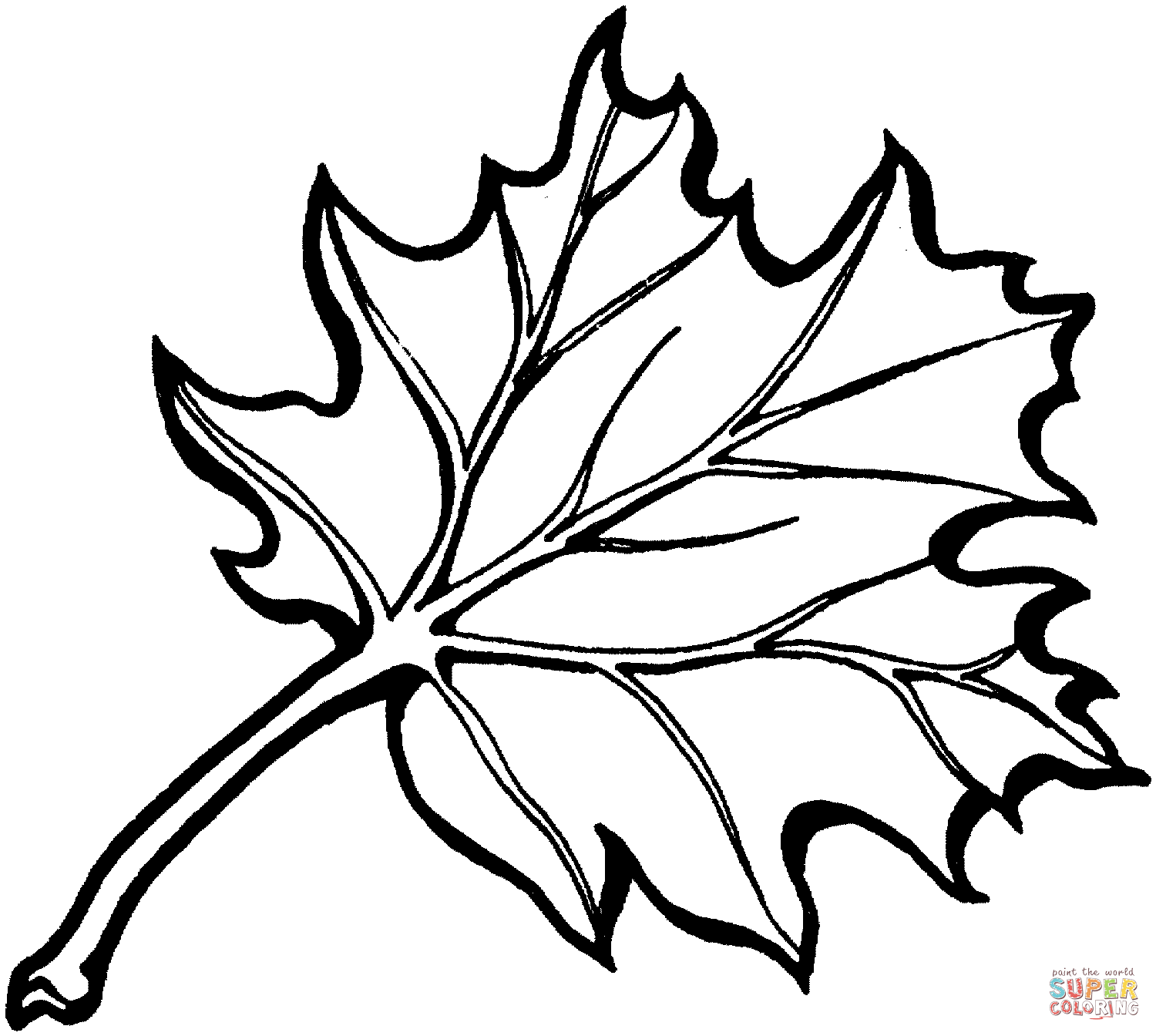 Oak Tree Leaf coloring page | Free Printable Coloring Pages