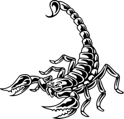 How to draw a scorpion clipart
