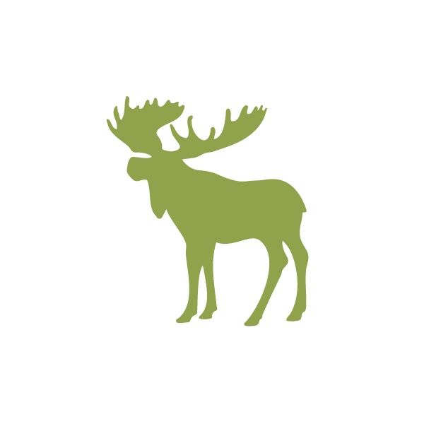 570 views 1000+ images about Designs | Deer heads, Deer ...