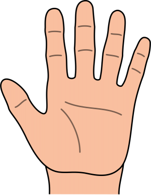 Hand clipart png
