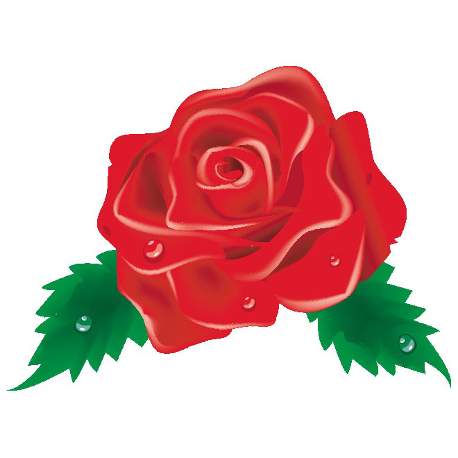 Rose clipart vector