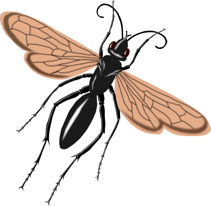 Free to Use & Public Domain Insects Clip Art - Page 2
