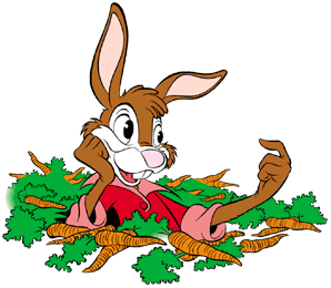 1,735 views Brer rabbit Gifs. Disney Gifs