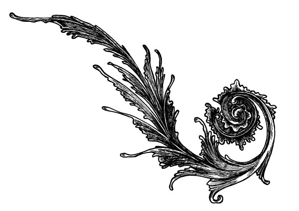 894 views 250+ Free, Vintage Graphics: Flourish Vector Ornaments - Tuts+ ...