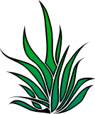 clip art: Free Plant Clipart