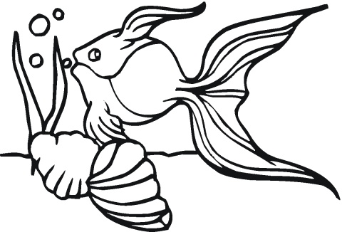 Goldfish Fish Bowl Coloring Pages Pic 23