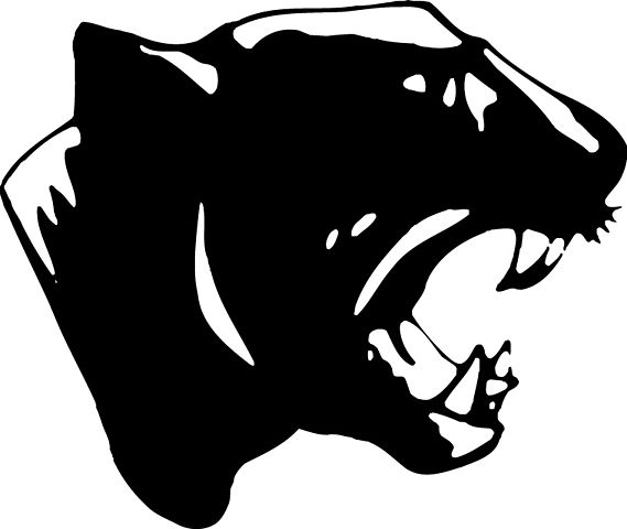 Derby High School (Kansas) Panther Head Mascot Logo.jpg ...