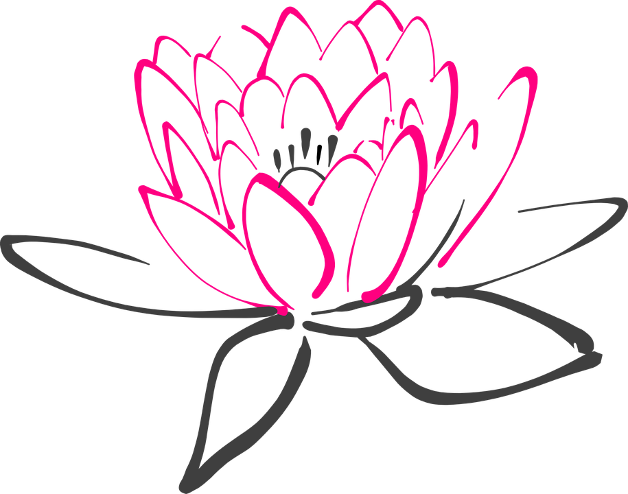 Lotus water lily flower clipart