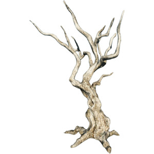 Dead Tree.png - Polyvore