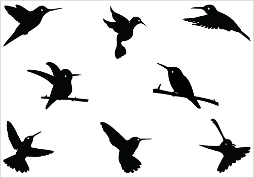 Hummingbirds, Clip art and Graphics