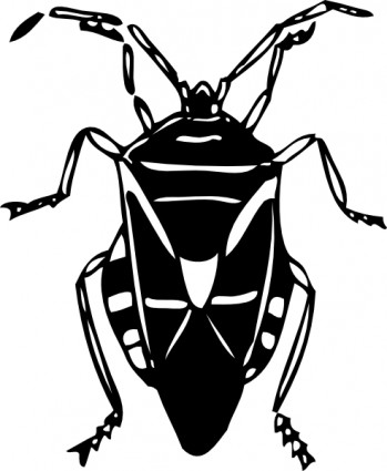 Bug Clip Art - Images, Illustrations, Photos
