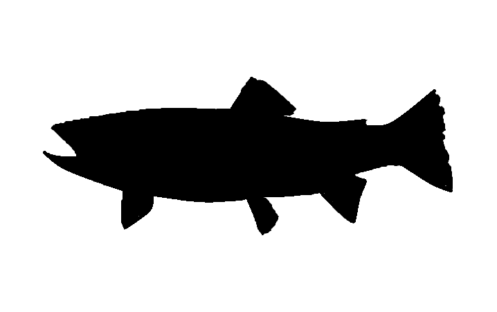 Trout Silhouette | Free Download Clip Art | Free Clip Art | on ...
