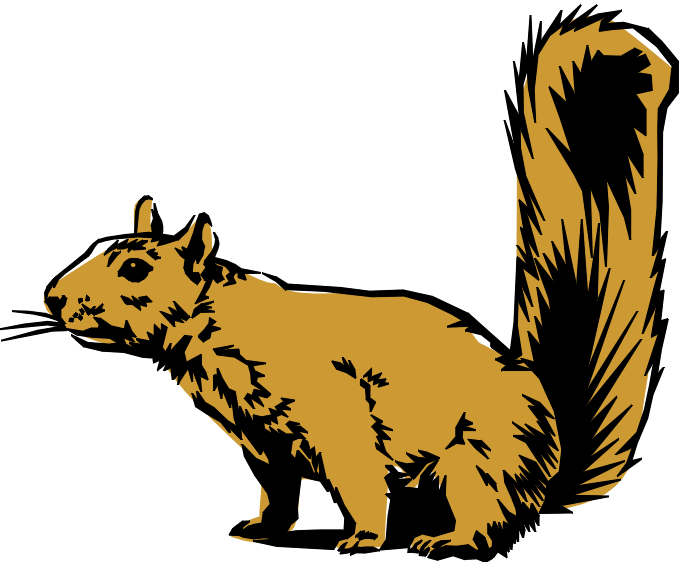 Rainforest Animals Clipart | Free Download Clip Art | Free Clip ... - ClipArt Best - ClipArt Best Rainforest Animals Clipart | Free Download Clip Art | Free Clip ... - ClipArt Best - ClipArt Best