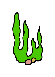 Cartoon Seaweed - ClipArt Best