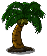 Image - Coconut Tree.png - Zombie Farm Wiki