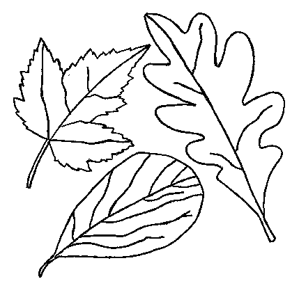 Oak Leaf Templates