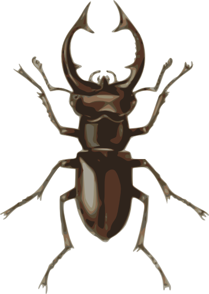 Stag Beetle clip art - vector clip art online, royalty free ...