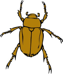 Insects Clip Art - Tumundografico