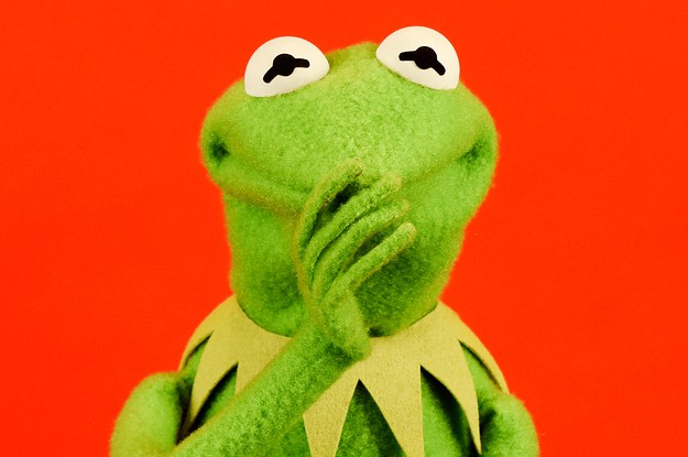 29 Burning Questions, Answered By Kermit The Frog