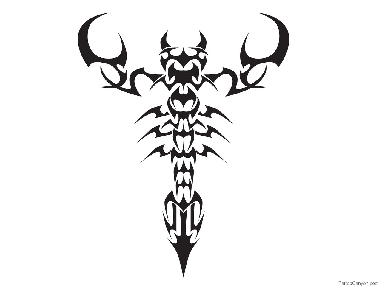 Free Designs Tribal Scorpion Tattoo Wallpaper Picture #