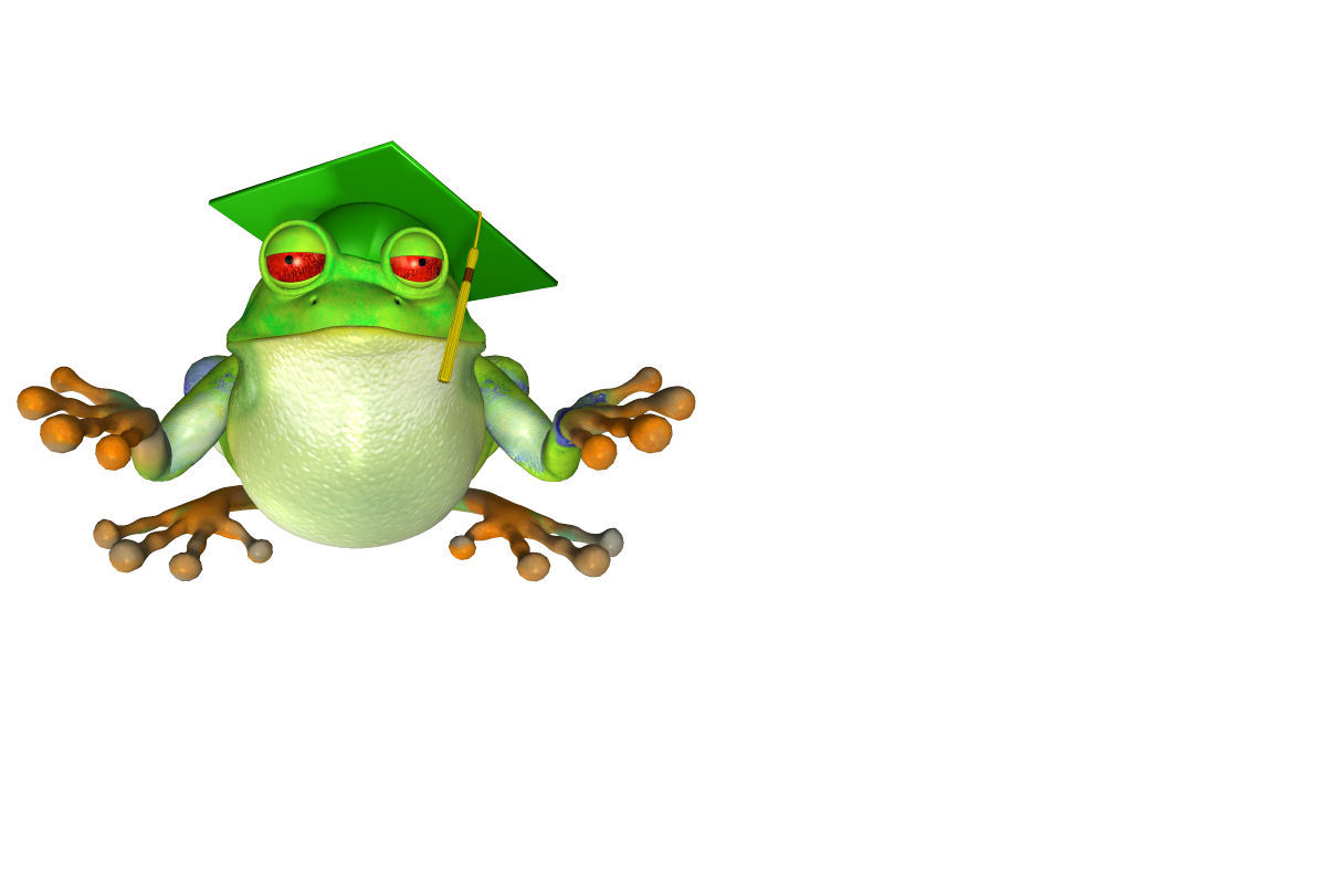 Green Frog Wallpapers and Pictures | 15 Items | Page 1 of 1