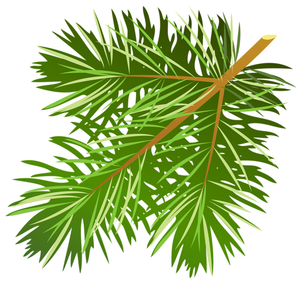 pine tree clip art vector - photo #29