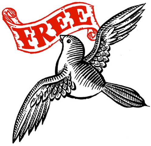 free bird birds tattoo design, art, flash, pictures, images 