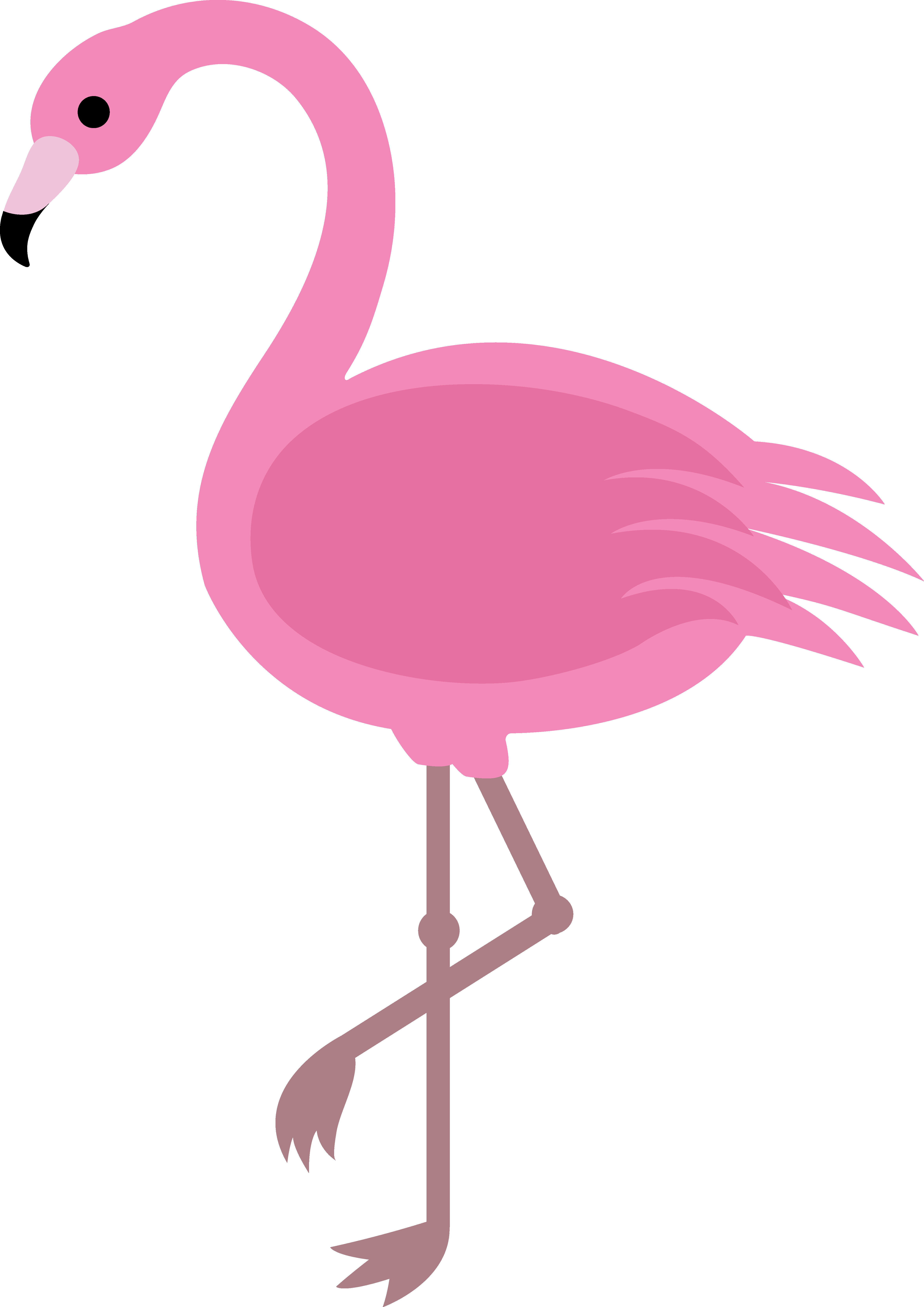 Cartoon Flamingo Images