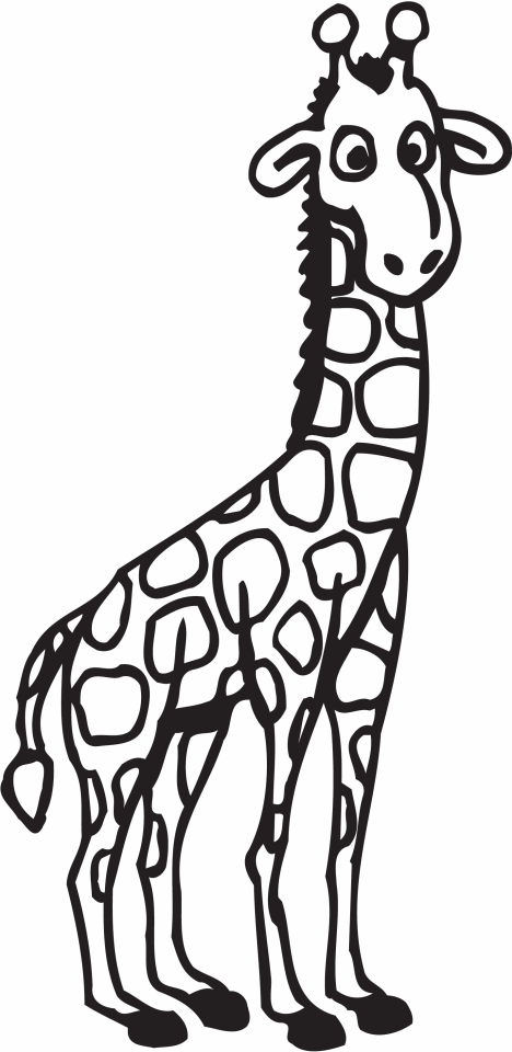 Giraffe Coloring pages for Home and School