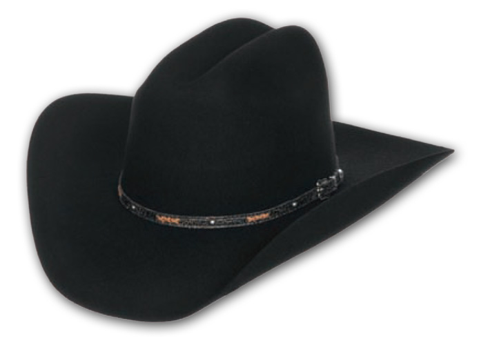 Felt Cowboy Hats | AA Callisters